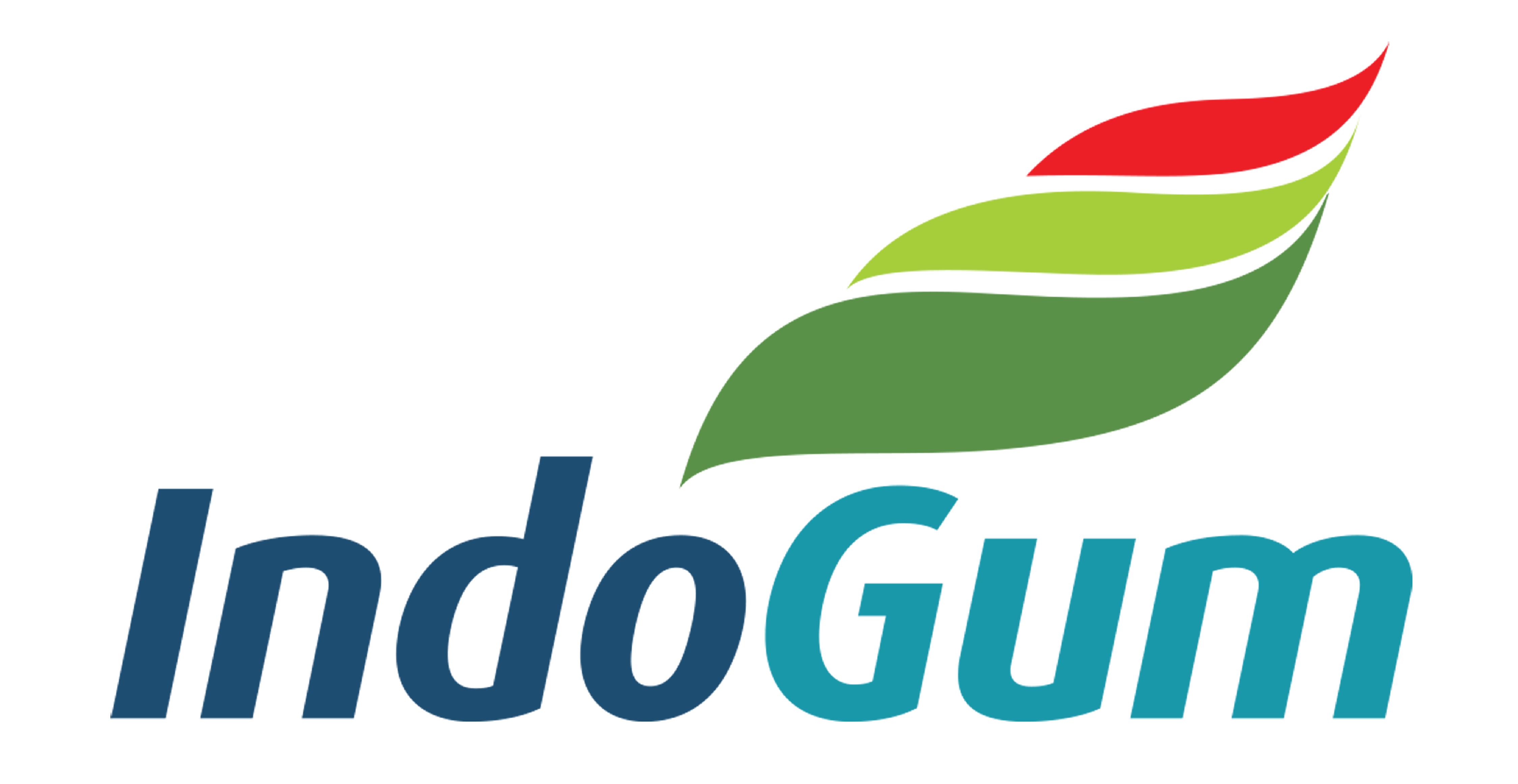 IndoGum